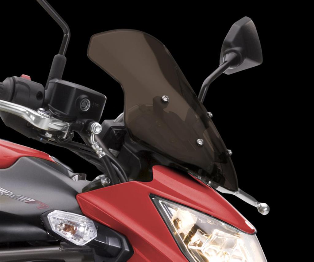 Groot Smoke Windscherm (ER-6n)