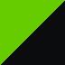 Golden Blazed Green / Metallic Spark Black